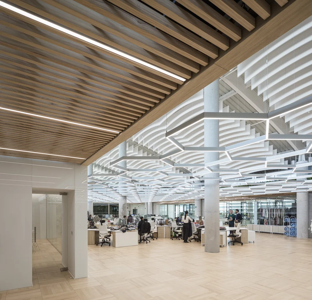 Oficinas Mayoral