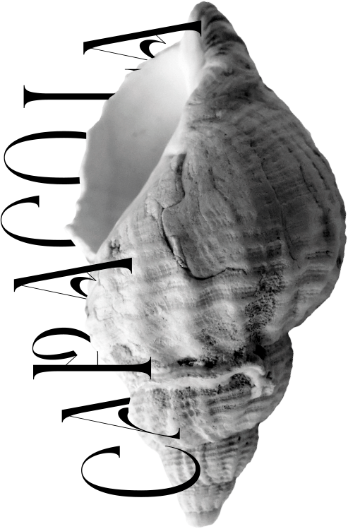 Caracola